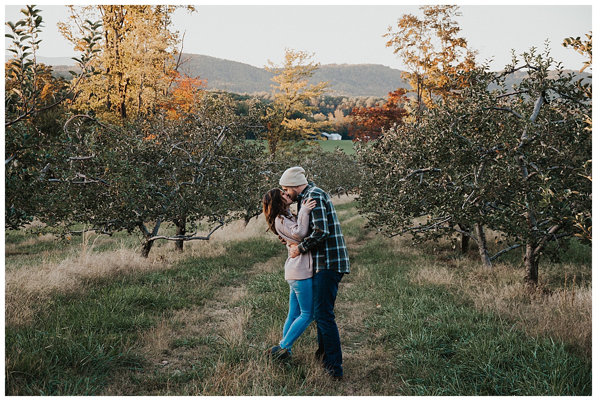 Apple Orchard, Boomer, NC